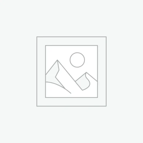 Mini Saddle Bag with Shoulder Strap